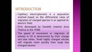 Flow Separation by Capillary Electrophoresis [upl. by Grodin]