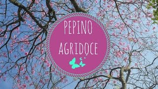 Como preparar pepino agridoce [upl. by Atiuqa]