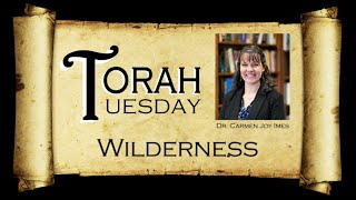 Torah Tuesday  Wilderness [upl. by Viglione]