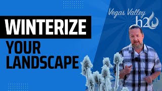 WinterProof Your Landscape Essential Tips for Las Vegas Residents 🌵❄️ [upl. by Assenev638]