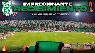 🔥🟢BRUTAL SALIDA HINCHADA ATLÉTICO NACIONAL VS Medellín 20 Desde la tribuna de Atanasio Girardot hoy [upl. by Bigford]