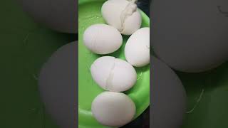 egg ande ka fanda boiledeggs eggshorts boiled eggrecipe boiledegg andekafunda shorts viral [upl. by Ellynad]