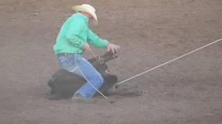 TieDown Roping  2018 Will Rogers Range Riders Rodeo  Thursday [upl. by Nodnelg]