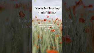 Daily prayer for trusting God’s timing prayer christian trustingod biblestudy faith jesus [upl. by Chastity647]