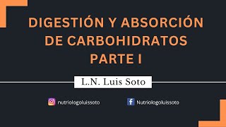 Digestión y absorción de carbohidratos Parte 1 [upl. by Aidne]