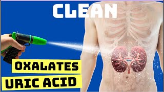 CLEAN Your KIDNEYS of URIC ACID and OXALATES [upl. by Anyrtak122]