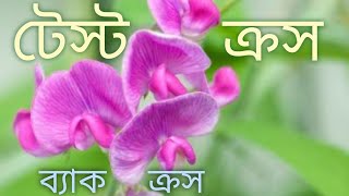 টেস্ট ক্রস ও ব্যাক ক্রস  Test cross and backcross in Bengali  Biology Helpline [upl. by Koller]