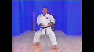 Goju ryu kata Seiyunchin [upl. by Dier]