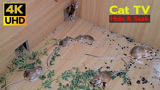 8 Hours Mouse Entertainment Video For Cats to Enjoy  Cat Tv Mouse  4k UHD [upl. by Ahsekan]