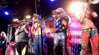 Dumb And Brass  Ernie Fat Freddys Drop cover  Live in Paris New Morning  20022016 [upl. by Brainard414]