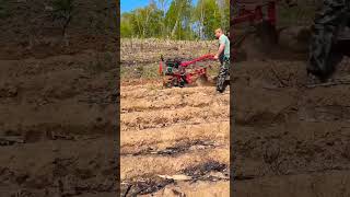 Cultivated land ploughing microtillage machine ditching machine 👏👏 [upl. by Catton]