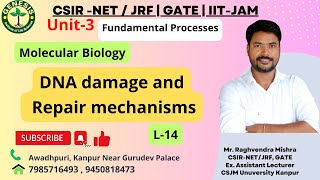 DNA damage and Repair mechanisms  Double Strand Break Repair  NHEJ  HLR  L14 [upl. by Acim]