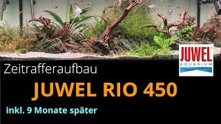 Einrichten Juwel RIO 450 Aquarium  Zeitraffer [upl. by Othe753]