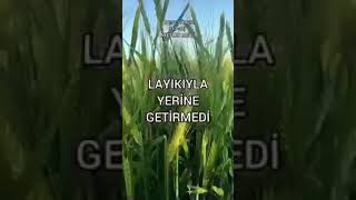 Abese Suresi 1732 Ayeti Kerime Mealleri [upl. by Atikaj]