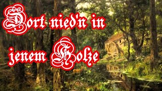 Dort niedn in jenem Holze  VolksliedGerman Folk Song  English translation [upl. by Nike]