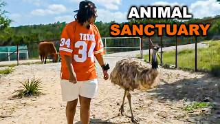 Agent Visits an Animal Sanctuary for the First Time [upl. by Strong841]