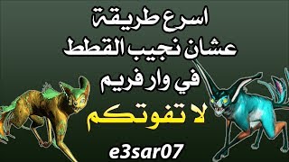 اسهل طريقة نقدر نجيب فيها القطط  سميتها  ادارزا  في وار فريم وار فريم warframe how i get kavat [upl. by Atima]