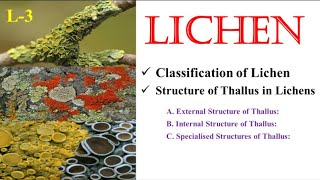 Lichen  Classification amp Thallus Structure  NEET  BSc  MSc  UPHESC  TGT  PGT  SK Sir [upl. by Anicart821]