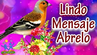 Para ti escucha estas lindas palabras con Frases motivadoras Lindo Mensaje de Vida [upl. by Nyladnor]