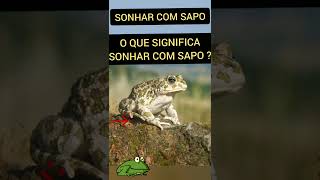 sonhar com sapo [upl. by Abbot204]