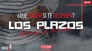 ¿Qué hacer si te despiden  LOS PLAZOS vídeo 4 de 7 [upl. by Rew756]