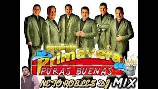 CONJUNTO PRIMAVERA MIX puras buenas ByNeto Robles Dj [upl. by Annaor]