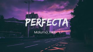 Reik MalumaPerfectaLetra [upl. by Ruthy794]