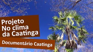 Documentário Caatinga [upl. by Boswell38]