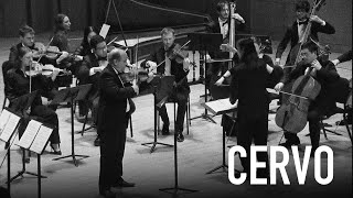 Dimitri Cervo The Brazilian Seasons Concerto for violin and orchestra [upl. by Tews]