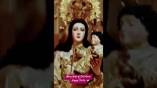 Mary pray for us music viralvideo youtubeshorts youtube video viralshorts [upl. by Wun739]