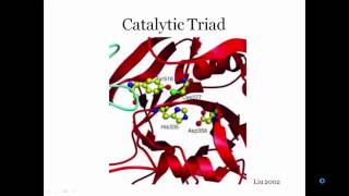 Transglutaminase [upl. by Maureene]