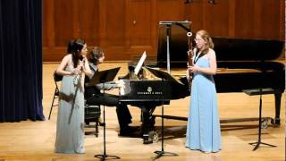 Beethoven  Trio for Flute Bassoon and Piano WoO 37 1st Mov [upl. by Darrow]