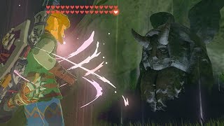 How to Duplicate Hearts and Stamina  Zelda BOTW [upl. by Ary169]