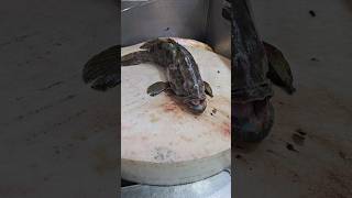 Amazing Black Giant Whole Grouper Fish Clening Skillsshorts 😱 [upl. by Rajiv807]