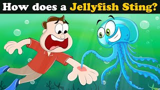 How does a Jellyfish Sting  more videos  aumsum kids science education whatif [upl. by Yuhas]