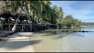 The Best Beachfront Hotel on Moorea French Polynesia Les Tipaniers [upl. by Eskil849]