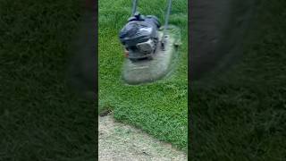 Hover mowers are great for steep banksslopes and wet ground turfguyross diyhomelawn hovermower [upl. by Aiela]