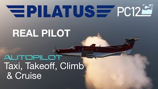 Pilatus PC12 Takeoff Climb Cruise Real World Step by Step Instructions 4K Carenado PC12 Video 2 [upl. by Fazeli760]