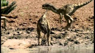 Infant Allosauruses  Walking with Dinosaurs Ballad of Big Al  BBC [upl. by Yttocs]