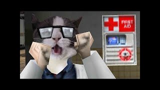 Cat Half Life SFX Memes [upl. by Warden]