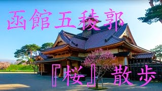 函館五稜郭『桜』散歩 4K HAKODATEGORYOUKAKU 『Cherry Blossoms』DJI OSMO [upl. by Erdreid]