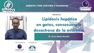 Lipidosis Hepática En Gatos Consecuencia Desastrosa De La Anorexia  Dr Jesús Marín Heredia [upl. by Eibocaj435]