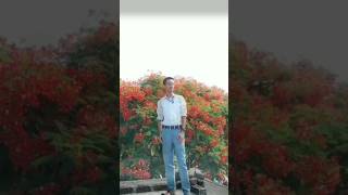 Tujhe Dhoondti Hai Ye Pagal Nigahein sadsong shortvideo shorts [upl. by Blodget490]