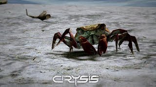 CRYSIS [upl. by Dulciana]