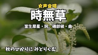 「時無草」詩：室生犀星、曲：磯部俶（八戸市立根城中学校合唱部） [upl. by Nala]