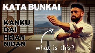 quotWhat is this technique forquot  3 Karate Kata applications [upl. by Relyks]