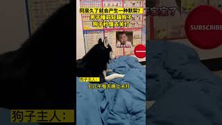 同居久了就会产生一种默契？主人睡前轻踹狗子，狗子立马秒懂搞笑 狗狗 动物 [upl. by Lekar]