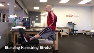 Standing Hamstring Stretch [upl. by Yntrok]