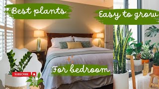 Air purifying indoor plants  Top 5 air purifying plants for bed room  house plants  indoor plants [upl. by Rellim]