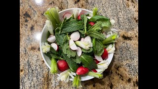 Sabzi Khordan  Fresh Herb Platter  سبزی خوردن  Persian Appetizer [upl. by Ear]